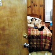 Fotos Porno de Maduras de Drunk and Exposed at a Hotel