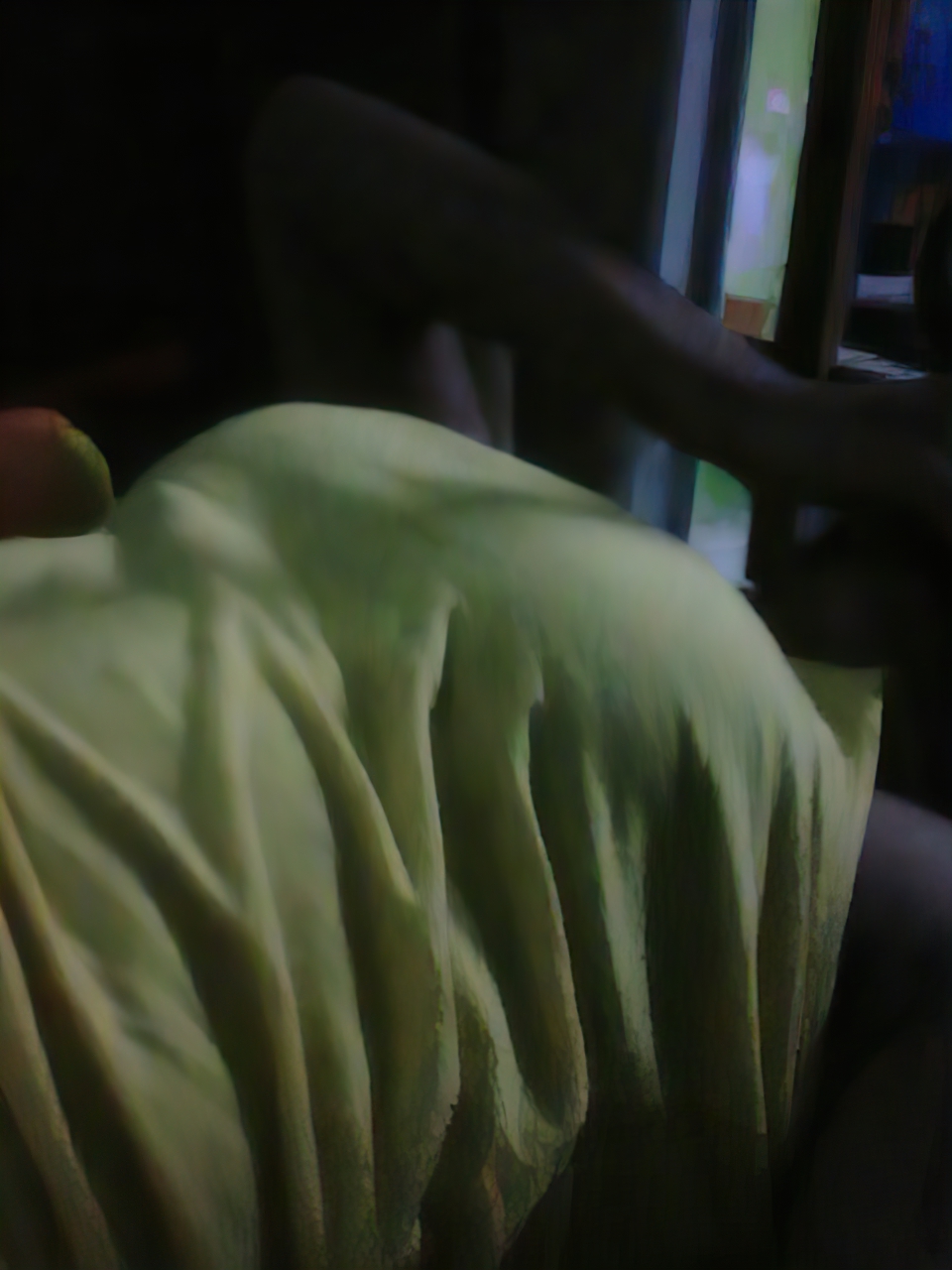 Fotos Porno de Jovencitas de Monica Mass