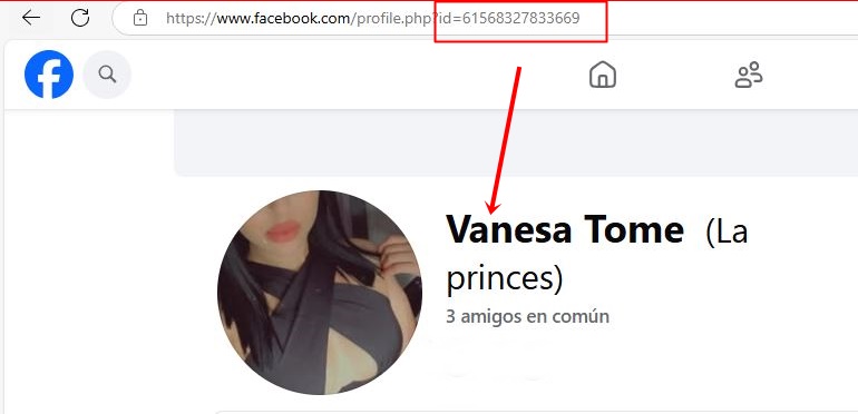 Fotos Porno de Fotomontajes de Vanesa Tome (La princes). Fake nudes